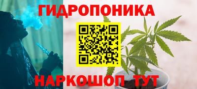 хмурый Краснознаменск